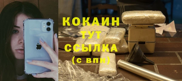 дживик Балахна