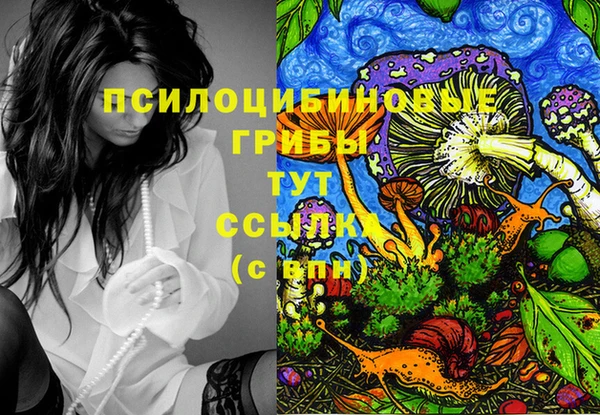 дживик Балахна