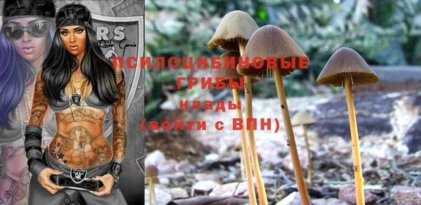 прущая мука Баксан
