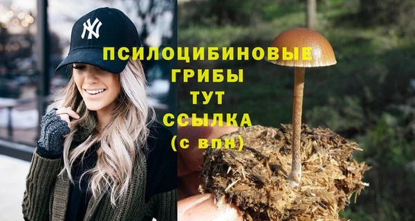прущая мука Баксан